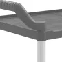 Carrito de 2 niveles aluminio gris 99x50x97 cm de , Carros de cocina y comedor - Ref: Foro24-30325, Precio: 68,07 €, Descuent...