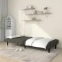 Sofá cama de 2 plazas terciopelo gris oscuro de , Sofás - Ref: Foro24-375842, Precio: 241,02 €, Descuento: %