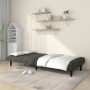 Sofá cama de 2 plazas terciopelo gris oscuro de , Sofás - Ref: Foro24-375842, Precio: 246,91 €, Descuento: %