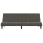 Sofá cama de 2 plazas terciopelo gris oscuro de , Sofás - Ref: Foro24-375842, Precio: 241,02 €, Descuento: %