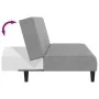 Sofá cama de 2 plazas terciopelo gris claro de , Sofás - Ref: Foro24-375763, Precio: 244,98 €, Descuento: %