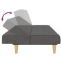 Sofá cama de 2 plazas tela gris oscuro de , Sofás - Ref: Foro24-375827, Precio: 248,00 €, Descuento: %