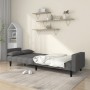 Sofá cama de 2 plazas con dos almohadas tela gris claro de , Sofás - Ref: Foro24-375833, Precio: 286,56 €, Descuento: %