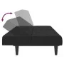 Sofá cama de 2 plazas terciopelo negro de , Sofás - Ref: Foro24-375844, Precio: 238,47 €, Descuento: %