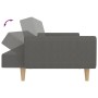 Sofá cama de 2 plazas tela gris claro de , Sofás - Ref: Foro24-375852, Precio: 274,80 €, Descuento: %
