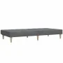 Sofá cama de 2 plazas tela gris claro de , Sofás - Ref: Foro24-375865, Precio: 238,89 €, Descuento: %