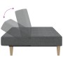 Sofá cama de 2 plazas tela gris claro de , Sofás - Ref: Foro24-375865, Precio: 243,04 €, Descuento: %