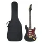 Guitarra eléctrica principiantes con funda negro dorado 4/4 39" de , Guitarras - Ref: Foro24-70194, Precio: 150,86 €, Descuen...