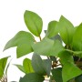 Planta artificial árbol de laurel con macetero 120 cm verde de , Flora artificial - Ref: Foro24-280179, Precio: 80,59 €, Desc...