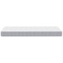 Colchón de muelles ensacados firmeza media 100x220 cm de , Colchones - Ref: Foro24-372824, Precio: 153,49 €, Descuento: %