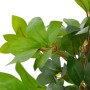 Planta artificial árbol de laurel con macetero 120 cm verde de , Flora artificial - Ref: Foro24-280180, Precio: 80,57 €, Desc...
