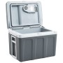 Nevera termoeléctrica portátil 40 litros 12 V 230 V E de , Neveras - Ref: Foro24-51199, Precio: 197,40 €, Descuento: %