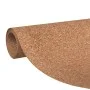 Cork roll 100x1000 cm 5 mm by , Isolation - Ref: Foro24-155977, Price: 155,15 €, Discount: %