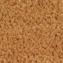 Felpudo semicircular de fibra de coco natural 60x90 cm de , Felpudos - Ref: Foro24-155602, Precio: 51,70 €, Descuento: %