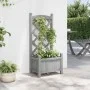 Jardinera con enrejado madera maciza de abeto gris de , Maceteros y jardineras - Ref: Foro24-365483, Precio: 46,55 €, Descuen...