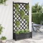 Jardinera con enrejado madera maciza de abeto negro de , Maceteros y jardineras - Ref: Foro24-365493, Precio: 154,78 €, Descu...