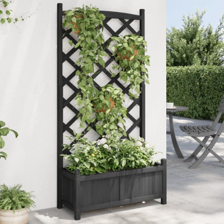 Jardinera con enrejado madera maciza de abeto negro de , Maceteros y jardineras - Ref: Foro24-365490, Precio: 111,82 €, Descu...