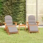 Juego de muebles de jardín Adirondack 3 piezas madera acacia de , Conjuntos de jardín - Ref: Foro24-3152126, Precio: 449,27 €...