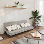 Sofá cama de 2 plazas terciopelo gris claro de , Sofás - Ref: Foro24-375732, Precio: 235,90 €, Descuento: %