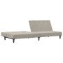 Sofá cama de 2 plazas terciopelo gris claro de , Sofás - Ref: Foro24-375732, Precio: 235,90 €, Descuento: %