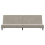 Sofá cama de 2 plazas terciopelo gris claro de , Sofás - Ref: Foro24-375732, Precio: 235,90 €, Descuento: %
