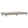 Sofá cama de 2 plazas terciopelo gris claro de , Sofás - Ref: Foro24-375732, Precio: 235,90 €, Descuento: %
