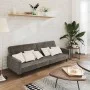 Sofá cama de 2 plazas terciopelo gris oscuro de , Sofás - Ref: Foro24-375738, Precio: 255,01 €, Descuento: %