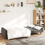 Sofá cama de 2 plazas terciopelo gris oscuro de , Sofás - Ref: Foro24-375738, Precio: 259,97 €, Descuento: %