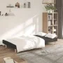 Sofá cama de 2 plazas tela negro de , Sofás - Ref: Foro24-375725, Precio: 237,90 €, Descuento: %