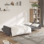 Sofá cama de 2 plazas tela gris claro de , Sofás - Ref: Foro24-375727, Precio: 261,61 €, Descuento: %