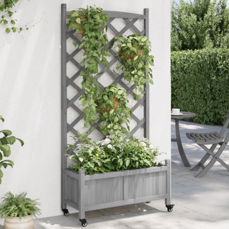 Jardinera con enrejado y ruedas madera maciza de abeto gris de , Maceteros y jardineras - Ref: Foro24-3207651, Precio: 102,21...