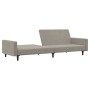 Sofá cama de 2 plazas terciopelo gris claro de , Sofás - Ref: Foro24-375737, Precio: 267,43 €, Descuento: %