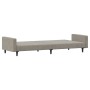 Sofá cama de 2 plazas terciopelo gris claro de , Sofás - Ref: Foro24-375737, Precio: 267,43 €, Descuento: %