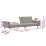 Sofá cama de 2 plazas terciopelo gris claro de , Sofás - Ref: Foro24-375737, Precio: 267,43 €, Descuento: %