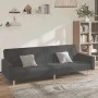 Sofá cama de 2 plazas tela gris oscuro de , Sofás - Ref: Foro24-375728, Precio: 267,06 €, Descuento: %