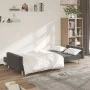 Sofá cama de 2 plazas tela gris oscuro de , Sofás - Ref: Foro24-375728, Precio: 267,06 €, Descuento: %