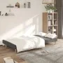 Sofá cama de 2 plazas tela gris claro de , Sofás - Ref: Foro24-375723, Precio: 232,56 €, Descuento: %