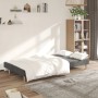 Sofá cama de 2 plazas tela gris claro de , Sofás - Ref: Foro24-375723, Precio: 236,63 €, Descuento: %