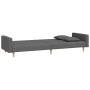 Sofá cama de 2 plazas con dos almohadas tela gris oscuro de , Sofás - Ref: Foro24-375900, Precio: 282,32 €, Descuento: %