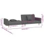 Sofá cama de 2 plazas con dos almohadas tela gris oscuro de , Sofás - Ref: Foro24-375900, Precio: 276,44 €, Descuento: %