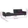 Sofá cama de 2 plazas con dos almohadas terciopelo negro de , Sofás - Ref: Foro24-375923, Precio: 270,12 €, Descuento: %