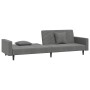 Sofá cama de 2 plazas con dos almohadas terciopelo gris oscuro de , Sofás - Ref: Foro24-375919, Precio: 272,54 €, Descuento: %