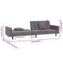 Sofá cama de 2 plazas con dos almohadas terciopelo gris oscuro de , Sofás - Ref: Foro24-375919, Precio: 272,54 €, Descuento: %