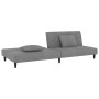Sofá cama de 2 plazas con dos almohadas terciopelo gris claro de , Sofás - Ref: Foro24-375910, Precio: 250,72 €, Descuento: %