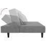 Sofá cama de 2 plazas con dos almohadas terciopelo gris claro de , Sofás - Ref: Foro24-375910, Precio: 250,72 €, Descuento: %