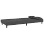 Sofá cama de 2 plazas con dos almohadas terciopelo gris oscuro de , Sofás - Ref: Foro24-375911, Precio: 246,96 €, Descuento: %