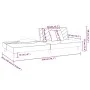 Sofá cama de 2 plazas con dos almohadas terciopelo gris oscuro de , Sofás - Ref: Foro24-375911, Precio: 246,96 €, Descuento: %