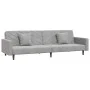 Sofá cama de 2 plazas con dos almohadas terciopelo gris claro de , Sofás - Ref: Foro24-375918, Precio: 258,36 €, Descuento: %