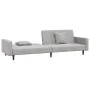 Sofá cama de 2 plazas con dos almohadas terciopelo gris claro de , Sofás - Ref: Foro24-375918, Precio: 258,36 €, Descuento: %