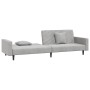 Sofá cama de 2 plazas con dos almohadas terciopelo gris claro de , Sofás - Ref: Foro24-375918, Precio: 271,84 €, Descuento: %